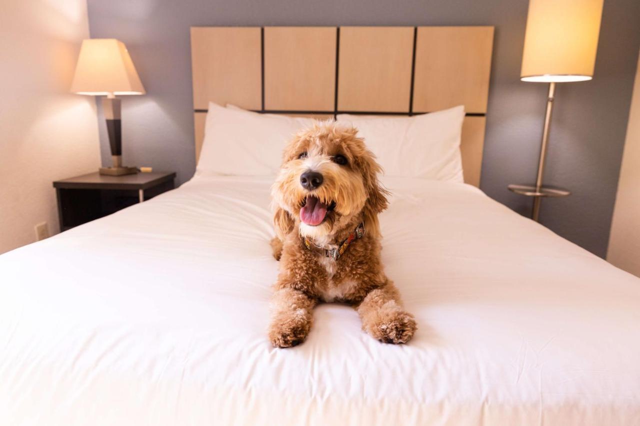 Sonesta Simply Suites Detroit Warren Eksteriør billede
